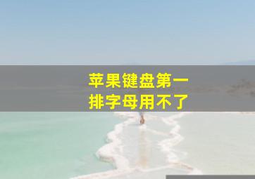 苹果键盘第一排字母用不了