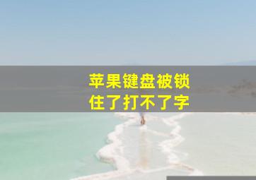 苹果键盘被锁住了打不了字