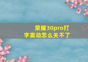 荣耀30pro打字震动怎么关不了