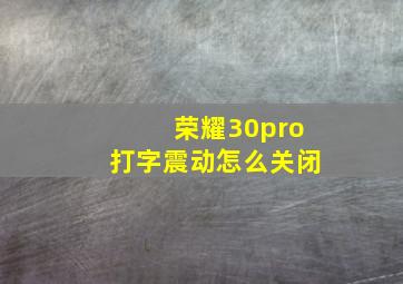 荣耀30pro打字震动怎么关闭