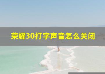 荣耀30打字声音怎么关闭