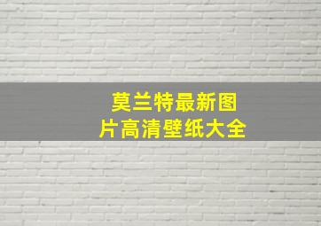 莫兰特最新图片高清壁纸大全