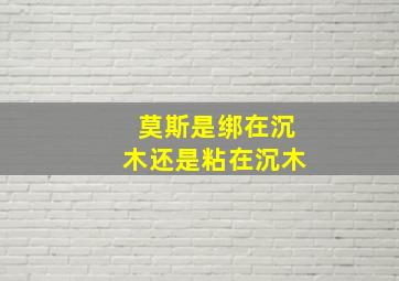 莫斯是绑在沉木还是粘在沉木