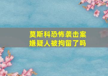 莫斯科恐怖袭击案嫌疑人被拘留了吗