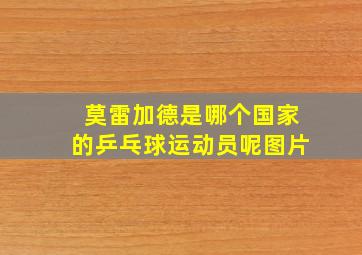 莫雷加德是哪个国家的乒乓球运动员呢图片