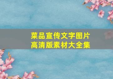 菜品宣传文字图片高清版素材大全集