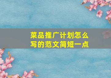 菜品推广计划怎么写的范文简短一点