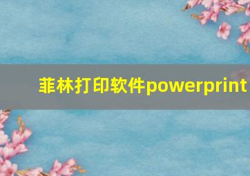 菲林打印软件powerprint