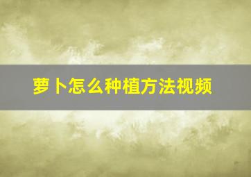 萝卜怎么种植方法视频