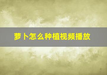 萝卜怎么种植视频播放