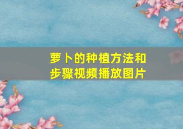 萝卜的种植方法和步骤视频播放图片