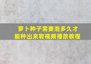 萝卜种子需要泡多久才能种出来呢视频播放教程