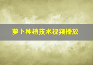 萝卜种植技术视频播放