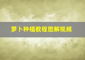 萝卜种植教程图解视频