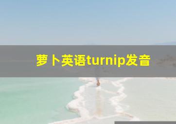 萝卜英语turnip发音