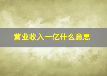 营业收入一亿什么意思