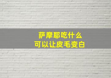 萨摩耶吃什么可以让皮毛变白