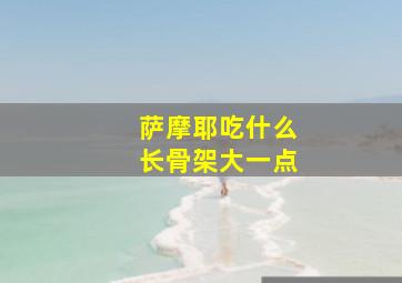 萨摩耶吃什么长骨架大一点