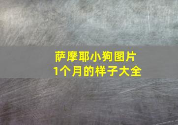 萨摩耶小狗图片1个月的样子大全