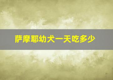 萨摩耶幼犬一天吃多少