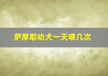 萨摩耶幼犬一天喂几次