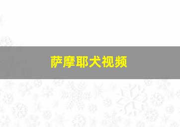 萨摩耶犬视频