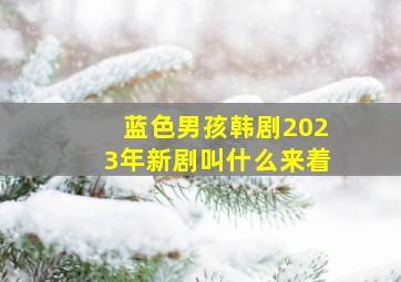 蓝色男孩韩剧2023年新剧叫什么来着