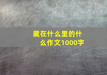 藏在什么里的什么作文1000字