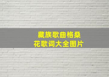 藏族歌曲格桑花歌词大全图片