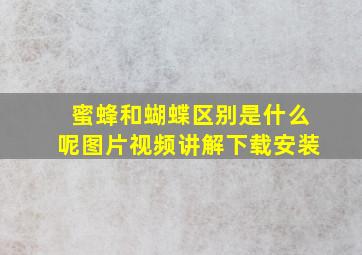 蜜蜂和蝴蝶区别是什么呢图片视频讲解下载安装