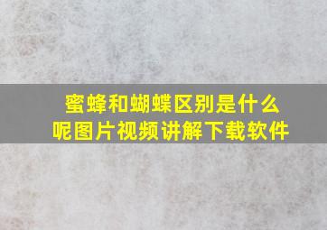 蜜蜂和蝴蝶区别是什么呢图片视频讲解下载软件