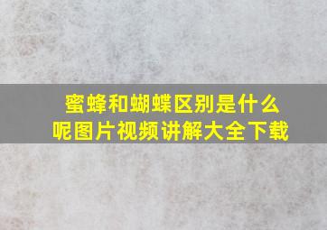 蜜蜂和蝴蝶区别是什么呢图片视频讲解大全下载