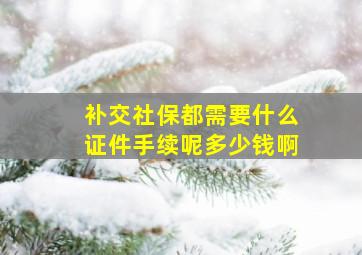 补交社保都需要什么证件手续呢多少钱啊