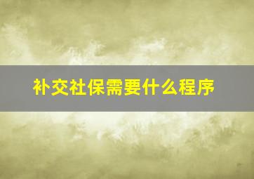 补交社保需要什么程序