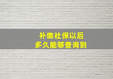 补缴社保以后多久能够查询到