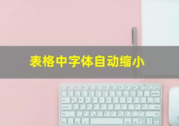 表格中字体自动缩小