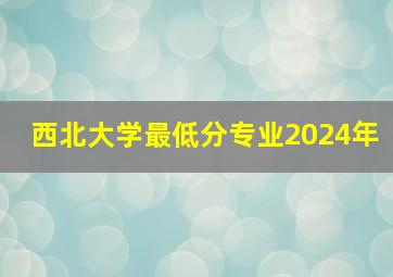 西北大学最低分专业2024年