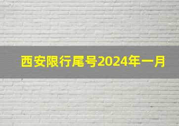 西安限行尾号2024年一月