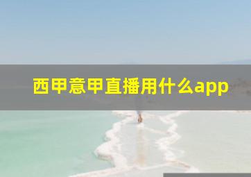 西甲意甲直播用什么app