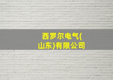 西罗尔电气(山东)有限公司