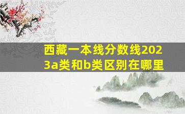 西藏一本线分数线2023a类和b类区别在哪里