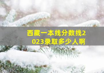 西藏一本线分数线2023录取多少人啊