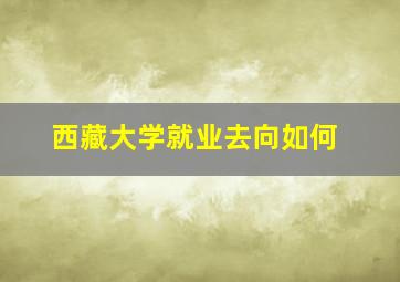 西藏大学就业去向如何