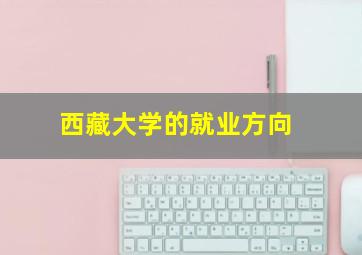 西藏大学的就业方向