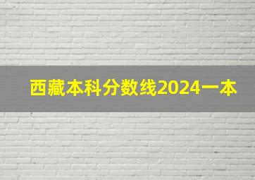 西藏本科分数线2024一本