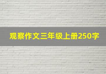 观察作文三年级上册250字