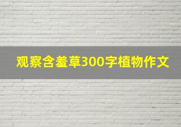 观察含羞草300字植物作文