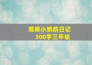 观察小鹦鹉日记300字三年级