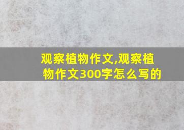 观察植物作文,观察植物作文300字怎么写的