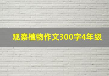 观察植物作文300字4年级